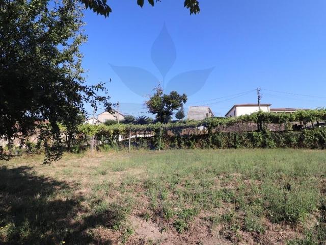 Terreno venda em Marecos, Porto