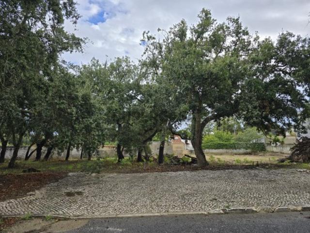 Terreno venda em Sesimbra (Castelo), Sesimbra