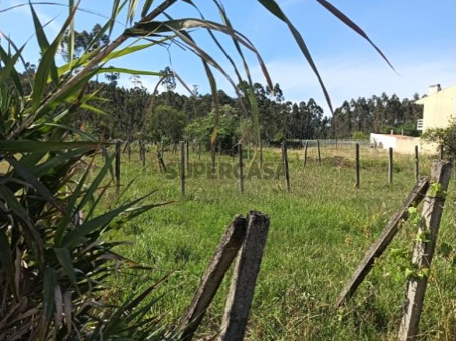 Terreno venda em Oliveira Do Bairro, Aveiro