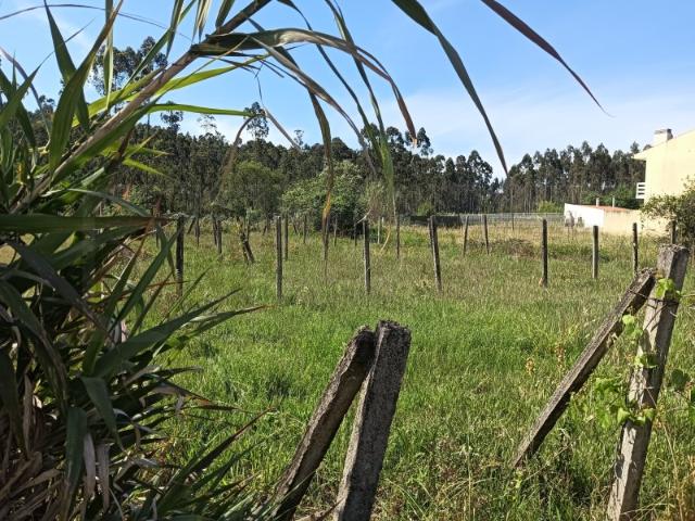 Terreno venda em Oliveira do Bairro