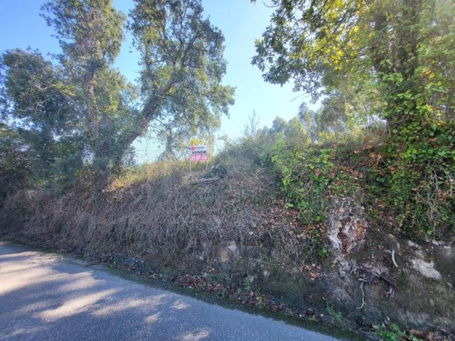 Terreno venda em Aveiro