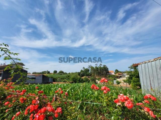 Terreno venda em Albergaria-a-velha, Aveiro