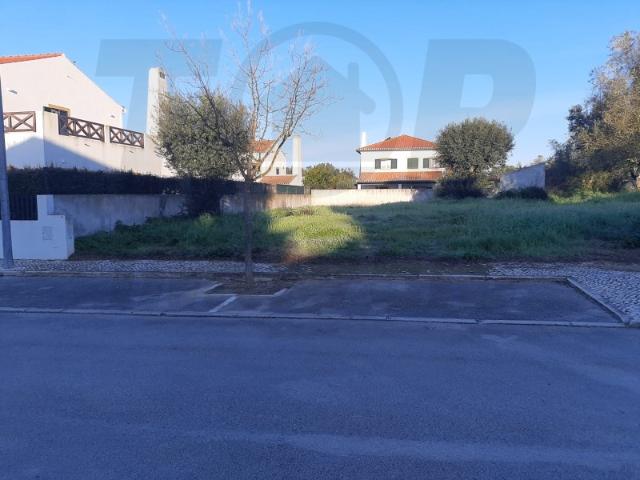 Terreno venda em Santo Estevão, Santo Estêvão