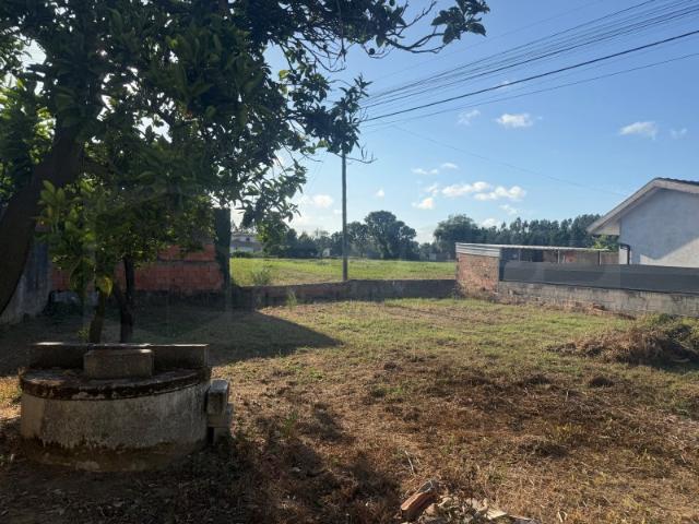 Terreno venda em Zona Industrial de Bustos, Oliveira do Bairro