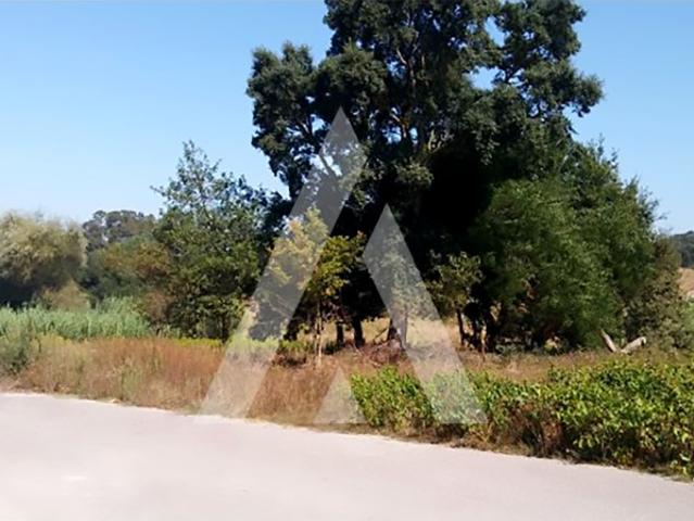 Terreno venda em Oliveira Do Bairro, Aveiro