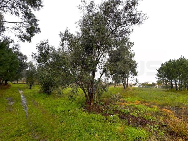 Terreno venda em Ponte De Vagos, Aveiro