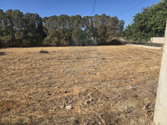 Terreno venda em Faro