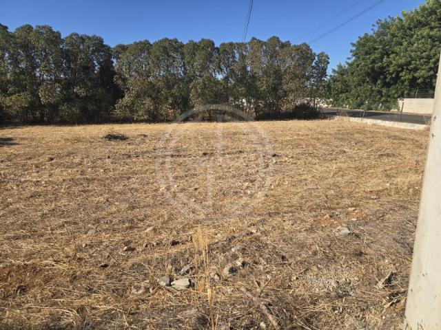 Terreno venda em Faro