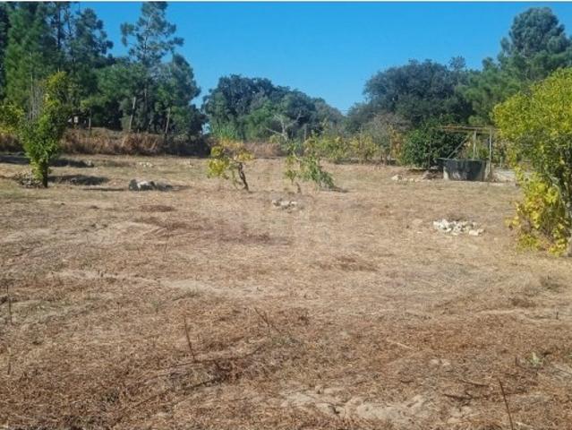 Terreno venda em Sesimbra (Castelo), Sesimbra