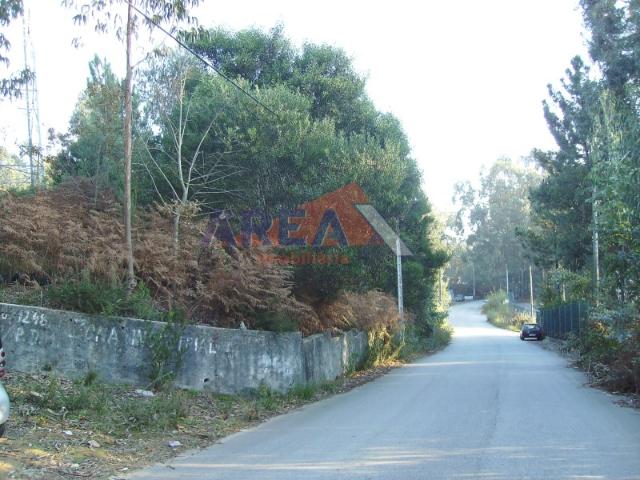 Terreno venda em Oliveira De Azeméis, Aveiro