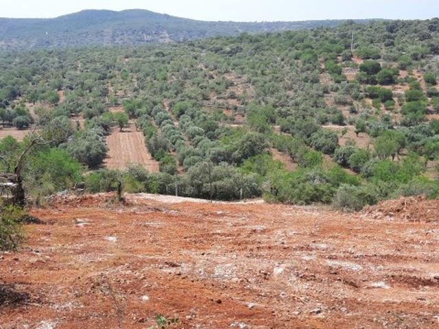 Terreno venda em Loulé, Faro