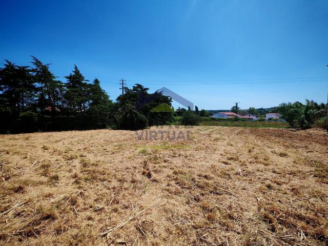 Terreno venda em Columbeira, Bombarral