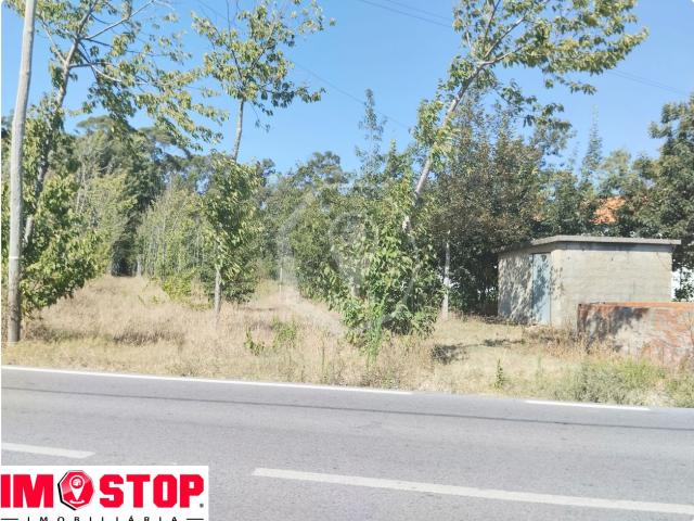 Terreno venda em Oliveira Do Bairro, Aveiro