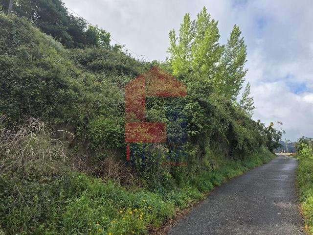 Terreno venda em Ribeira do Neiva, Vila Verde