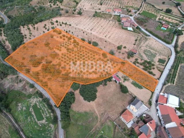 Terreno venda em Bragança