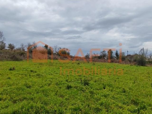 Terreno venda em Leiria