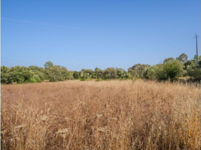 Terreno venda em Ourém, Santarém