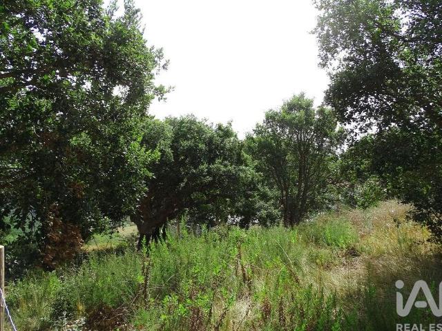 Terreno venda em Óbidos, Leiria