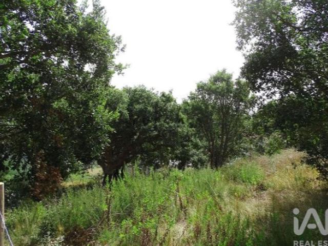 Terreno venda em Óbidos, Leiria