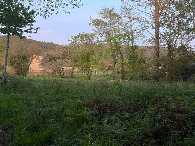 Terreno venda em Viana Do Castelo