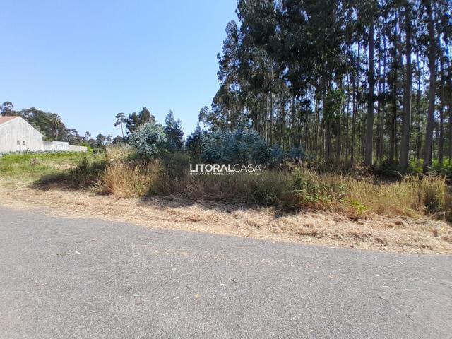 Terreno venda em Recardães e Espinhel, Águeda