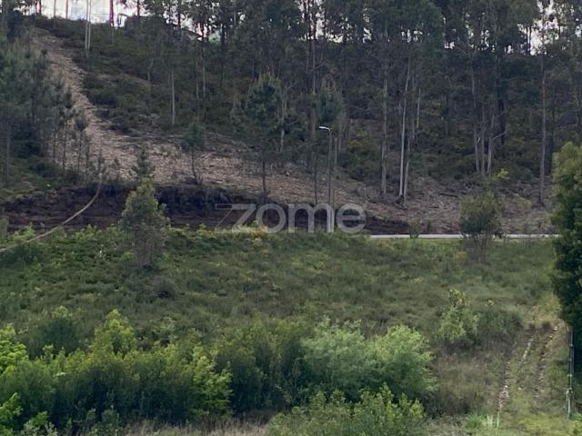 Terreno venda em Alagoa Oriente, Águeda