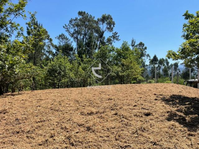 Terreno venda em Bouça Soeiro, Arcos De Valdevez
