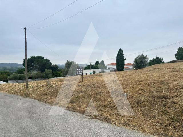Terreno venda em Anadia, Aveiro