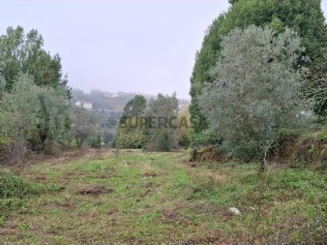 Terreno venda em Penela, Coimbra