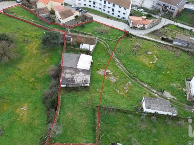 Terreno venda em Alijó, Vila Real