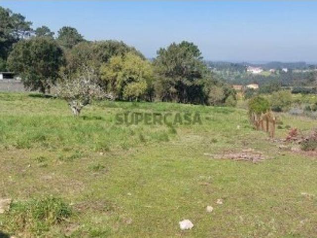 Terreno venda em Alcobaça, Leiria