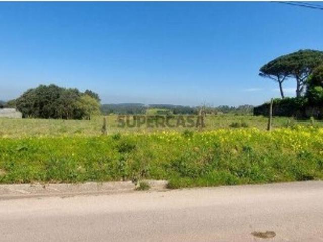Terreno venda em Alcobaça, Leiria