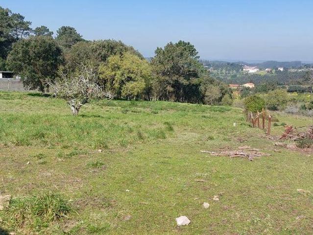 Terreno venda em Quinta do Almeida, Alcobaça