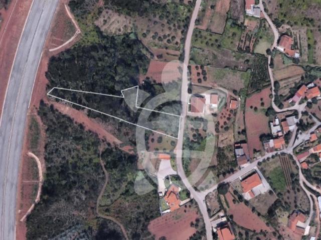 Terreno venda em Coimbrã, Almalaguês