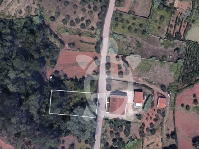 Terreno venda em Coimbrã, Almalaguês