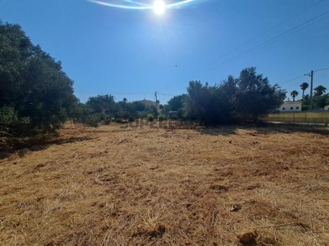 Terreno venda em Loulé Terreno venda em Loulé