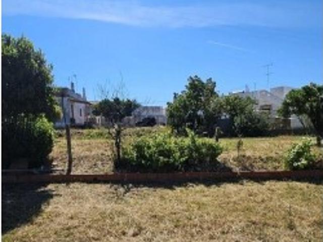 Terreno venda em Vale de Éguas, Loulé