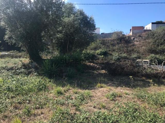 Terreno venda em Albergaria-a-velha, Aveiro