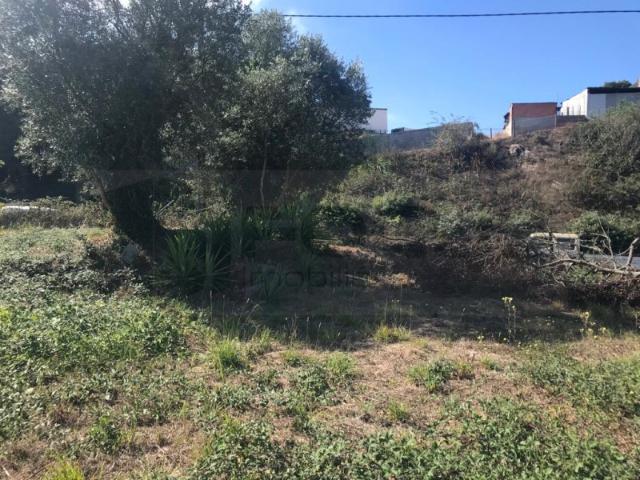 Terreno venda em Albergaria-a-velha, Aveiro