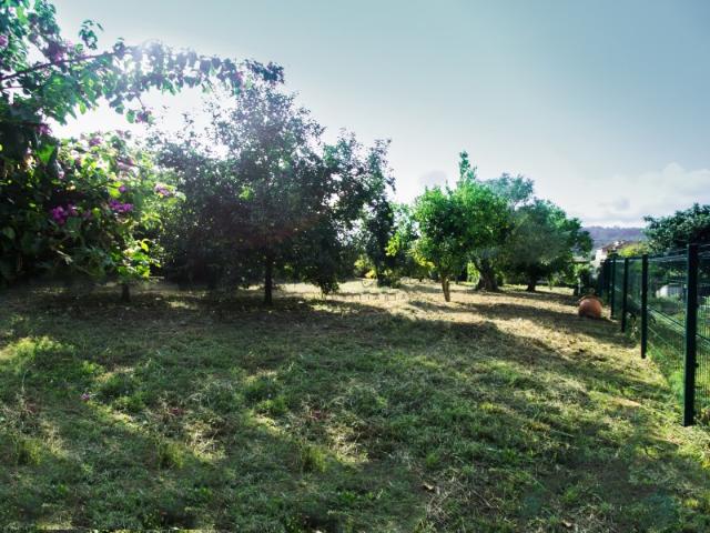 Terreno venda em Boalhosa, Viana Do Castelo