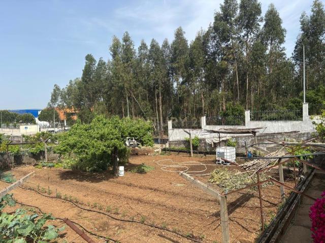 Terreno venda em Entroncamento, Nossa Senhora De Fátima