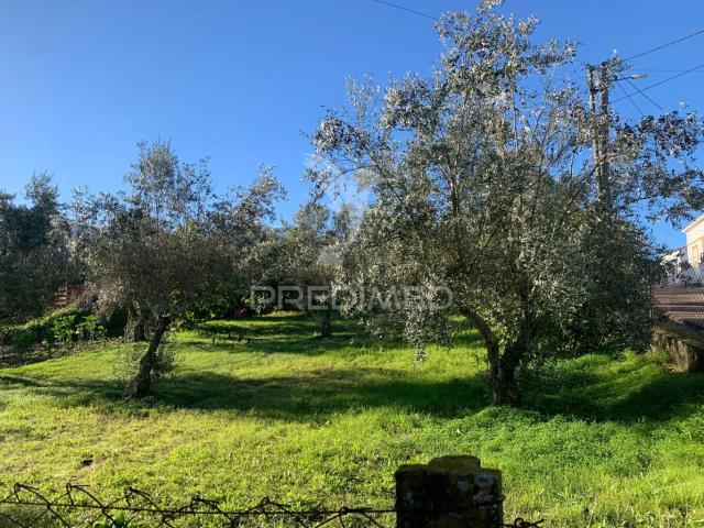 Terreno venda em Abrantes, Santarém