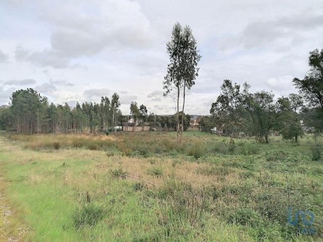 Terreno venda em Leiria