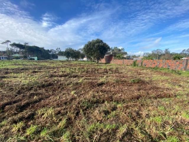 Terreno venda em Esposende