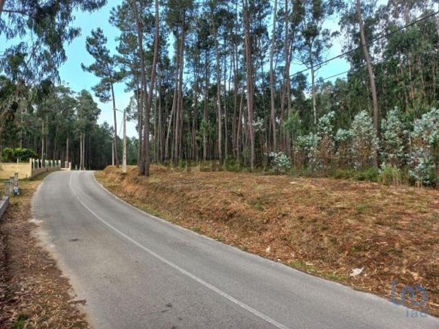 Terreno venda em Leiria