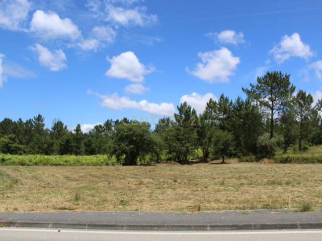 Terreno venda em Pombal, Almagreira