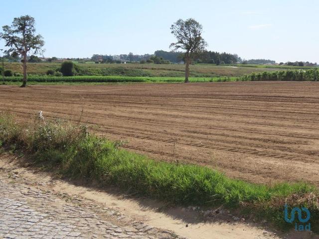 Terreno venda em Vila Do Conde, Porto