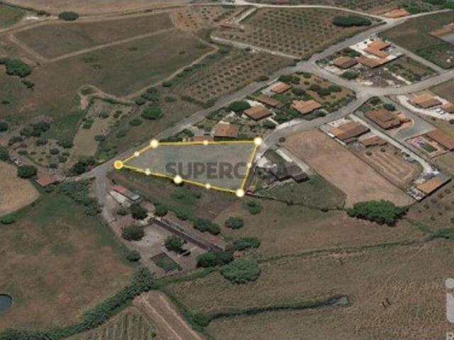 Terreno venda em Casais do Arrocho, Santarém