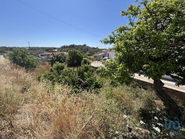 Terreno venda em Vila Do Bispo, Faro