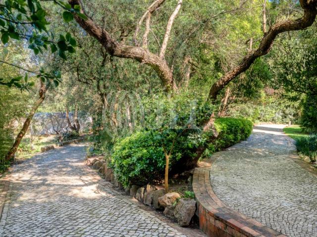 Terreno venda em Visconde da Luz, Cascais